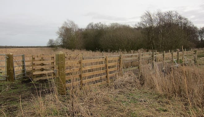Photo of River Waveney
