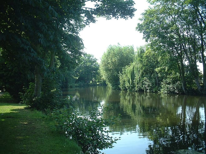 Photo of River Wensum