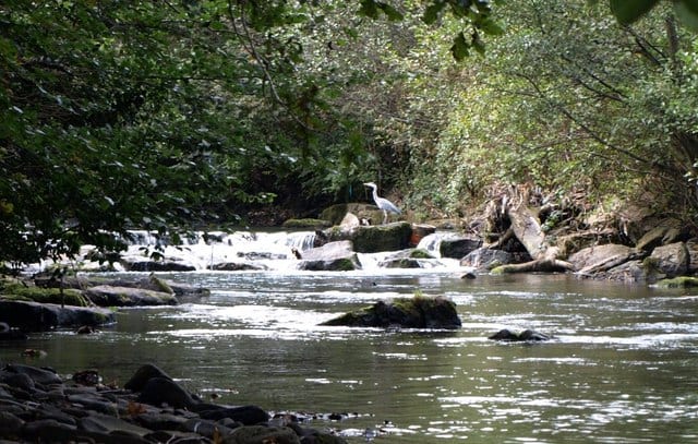 Photo of Sirhowy River