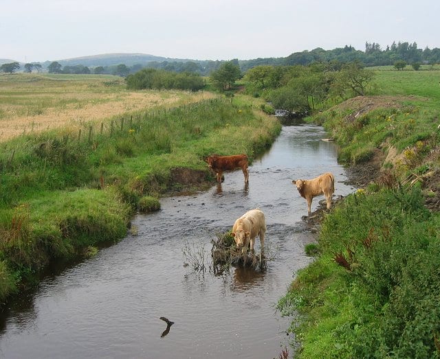 Photo of Water of Leith