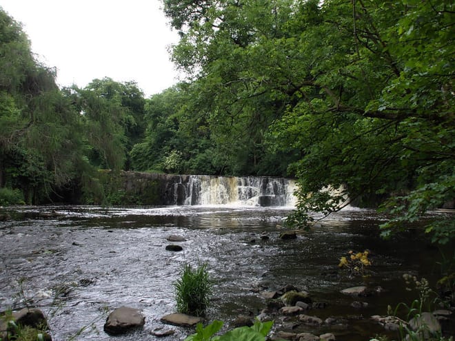 Photo of White Cart Water