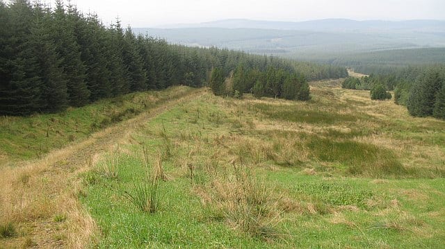 Photo of Romans and Reivers Route